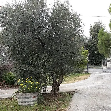 Beautiful House Διαμέρισμα *